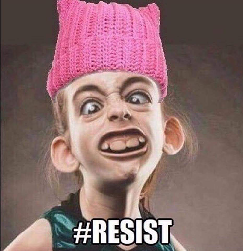 Typical Resist Idiot